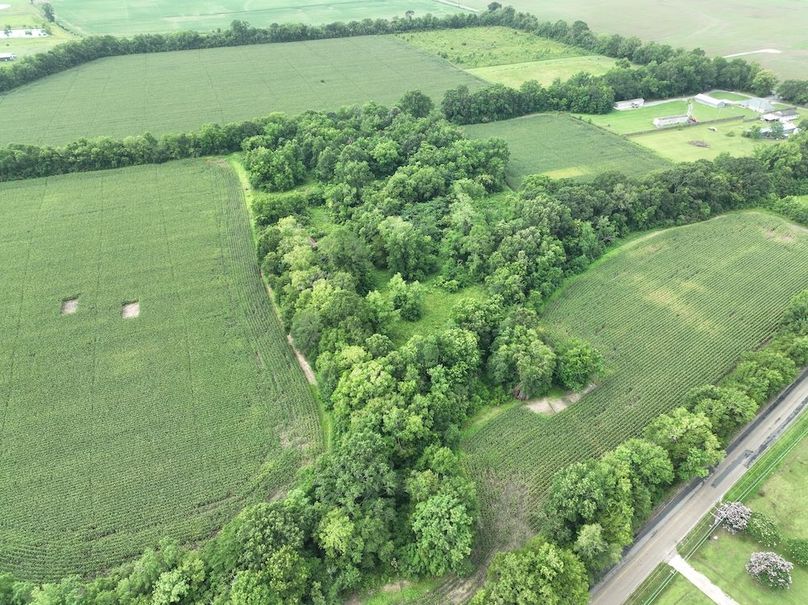 dji_fly_20240620_102548_557_1718898994744_photo