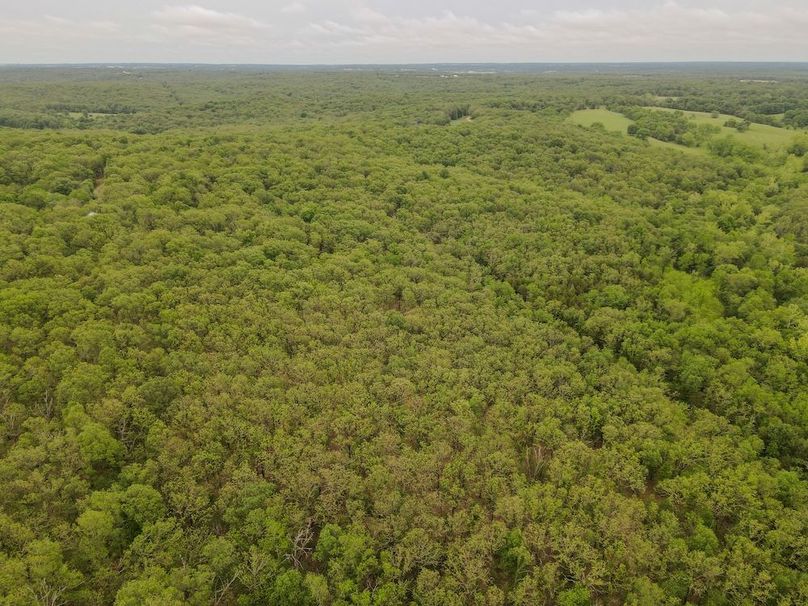 dji_fly_20260519_171506_448_1779228921264_photo
