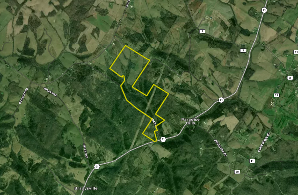 Screenshot 2025-07-15 at 7.41.49 AM