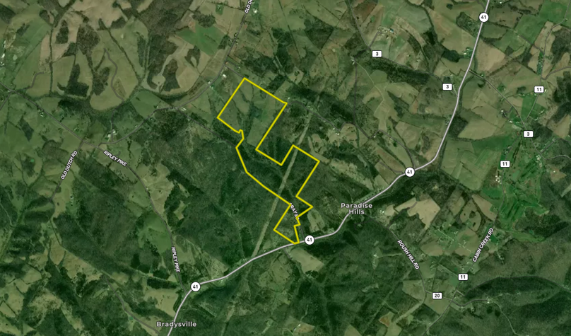 Screenshot 2025-07-15 at 7.41.49 AM