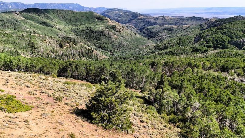 DJI_20250726165617_0070_D