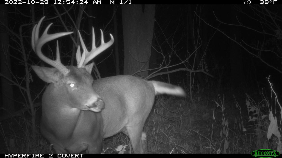 Secluded Tillable And Hunting Property For Sale In North Central IL