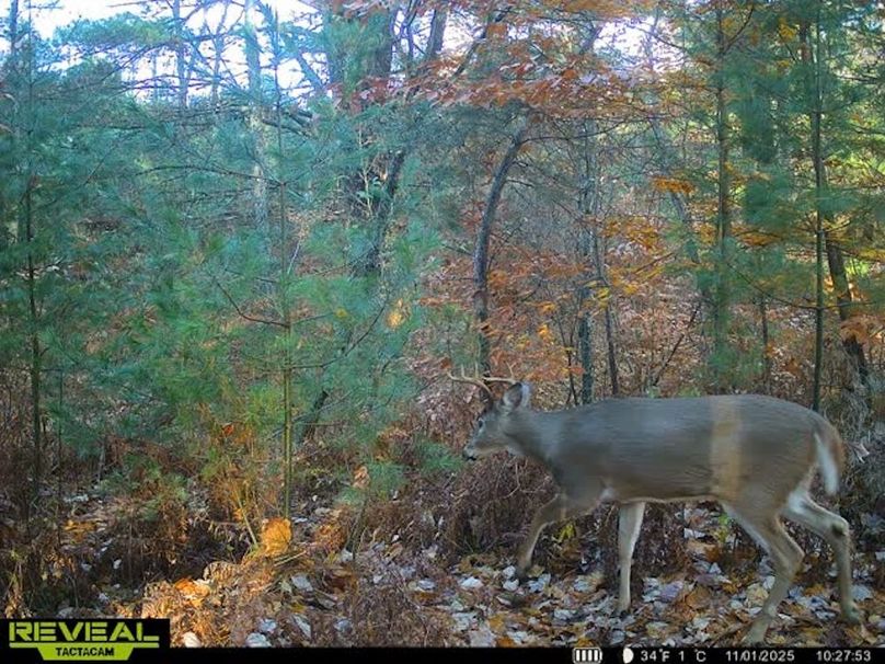 864049054776903-90-3-11012025102818-V-W1001736