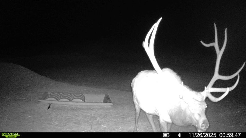 016578003984348-76-3-11262025080328-HD-SYFW01991