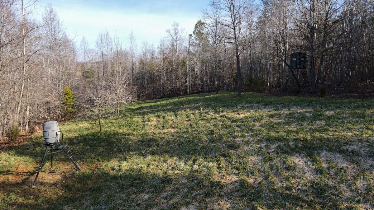Proven Hunting Property Near Reidsville NC Whitetail Properties