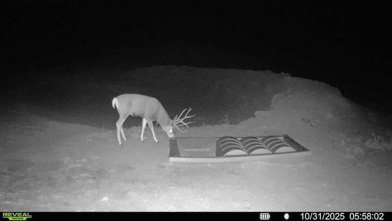 61d06130-9642-4b3c-b235-81a0162a81bd