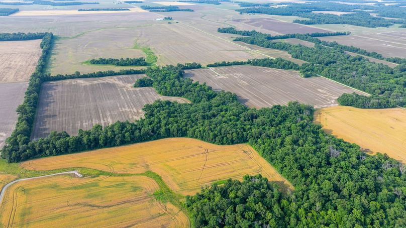 DJI_20250610045316_0006_D