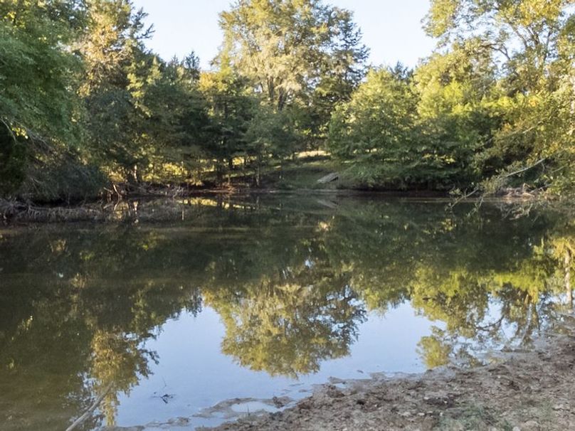 Hinds Co - 30 - Newman-11