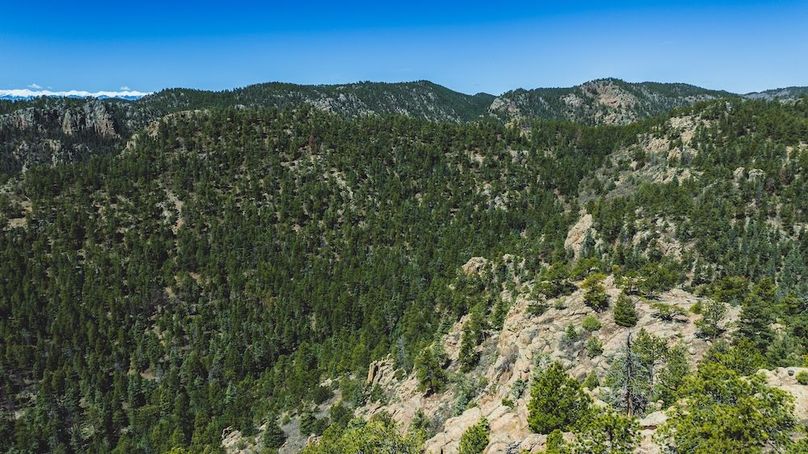 DJI_20240517125648_0084_D