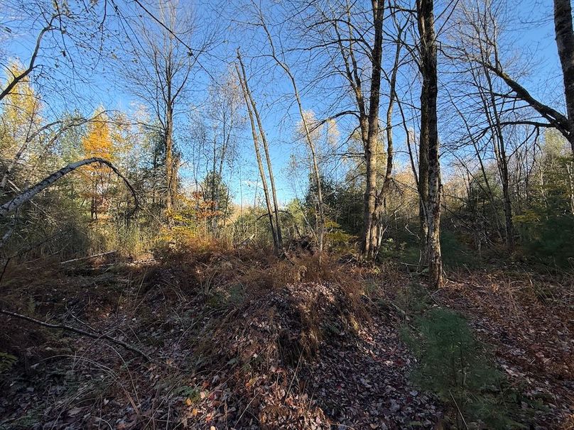 Oswego_26.28_Koehler Photo 18