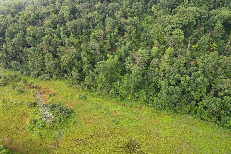 Chemung_29.5_Frantellizzi_Photo_6