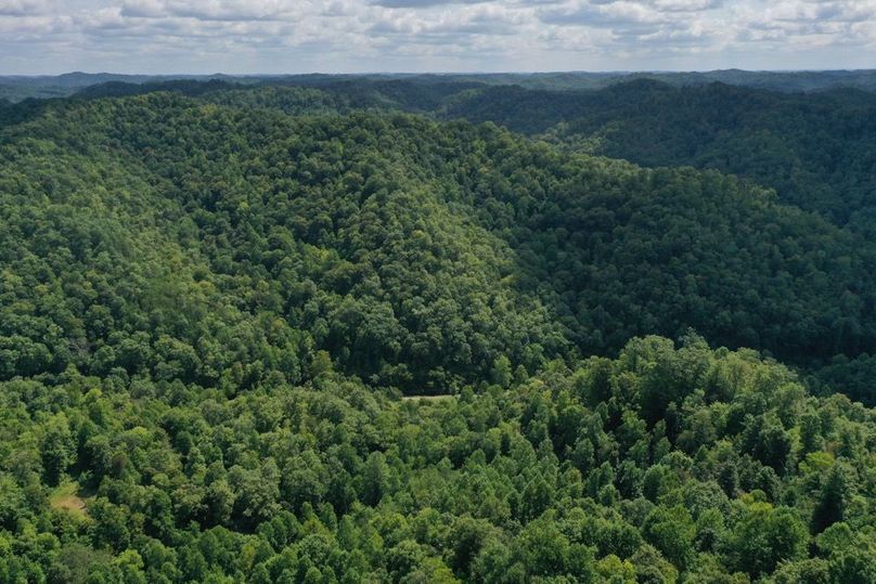 004 aerial drone shot from the west ridge looking across at the east section of the property