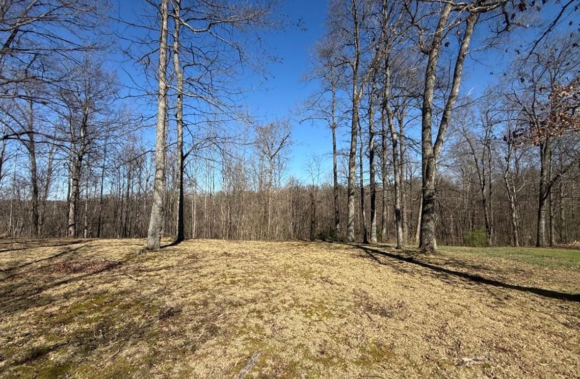 005 view of the back yard from the back porch