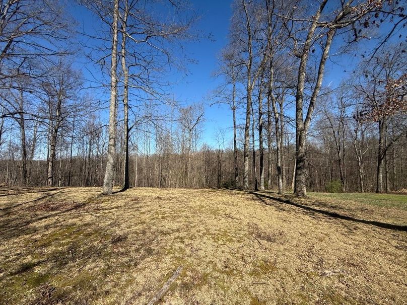 005 view of the back yard from the back porch