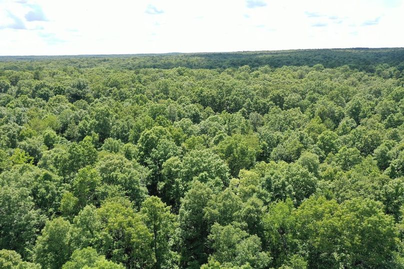 DJI_0993