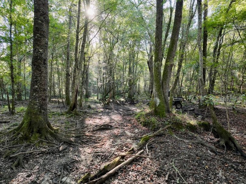 dji_fly_20251013_093930_267_1760364565971_photo