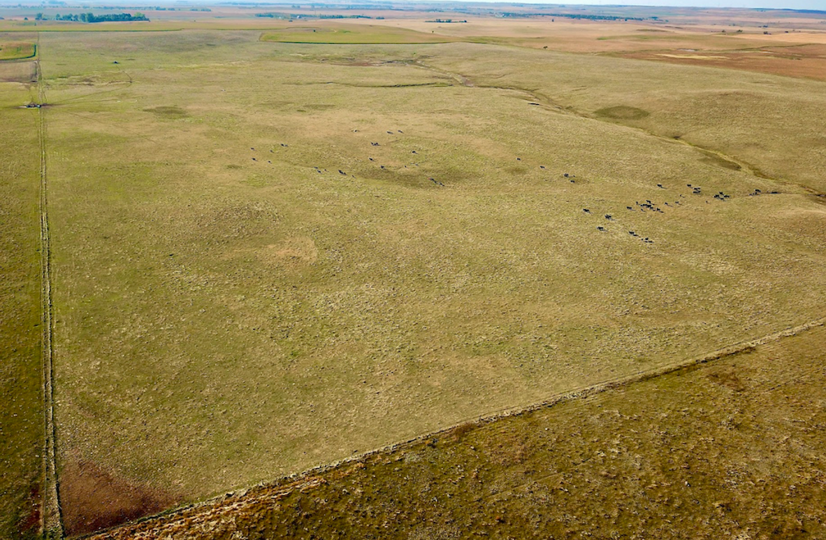 Screenshot 2026-02-02 at 2.37.32 PM