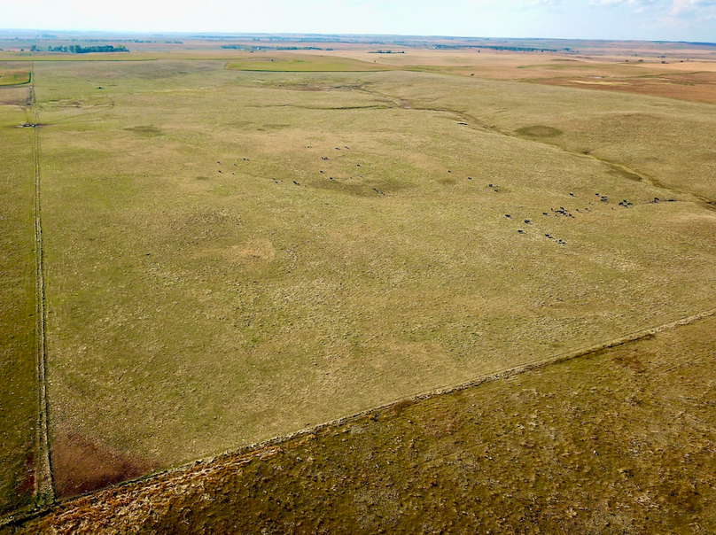 Screenshot 2026-02-02 at 2.37.32 PM