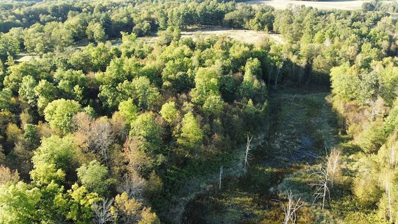 dji_fly_20240925_172334_934_1727303023628_photo_optimized