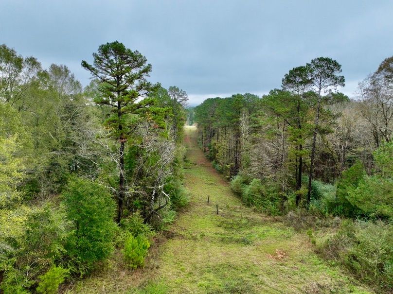 611C4952-105A-48BA-8DEC-EE04E305F678_1_201_a-2