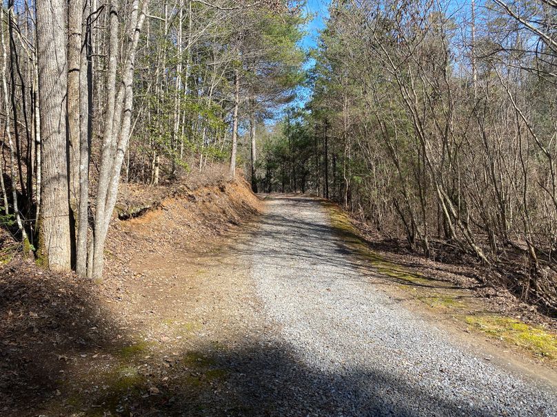 Cherokee 7.47 Herzog-02