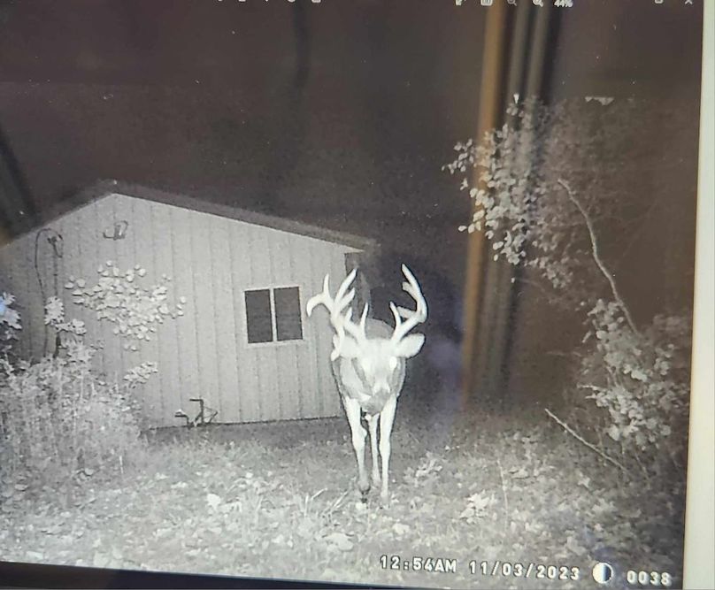 received_1929442514154420