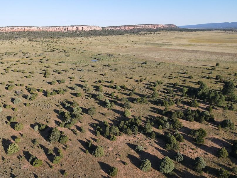 dji_fly_20240816_075248_516_1723816388344_photo