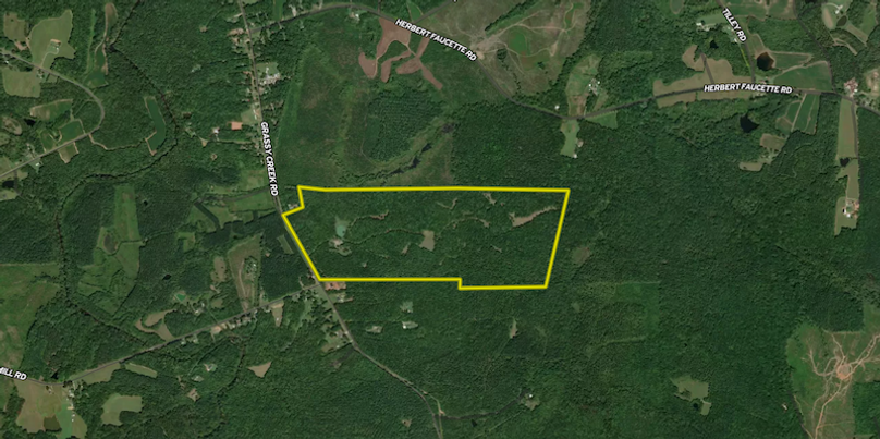 Screenshot 2026-03-03 131033