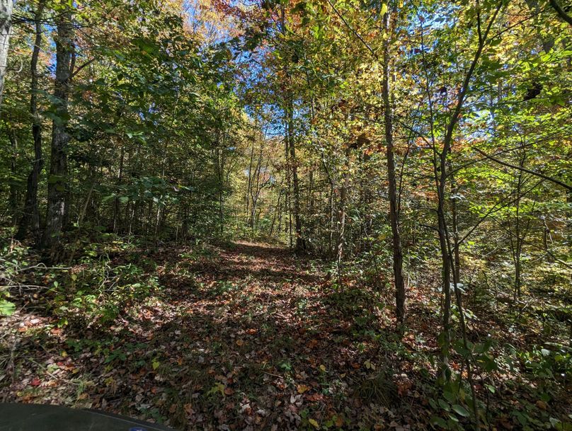 PXL_20231004_165452141