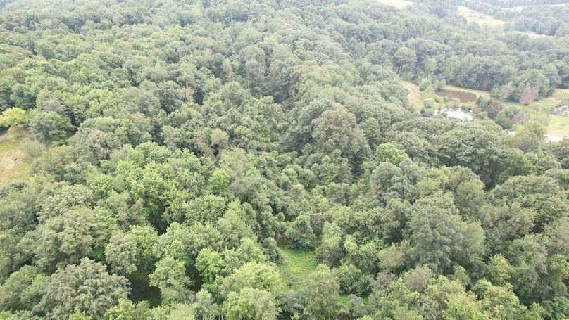 dji_fly_20250714_141358_441_1752537424189_photo