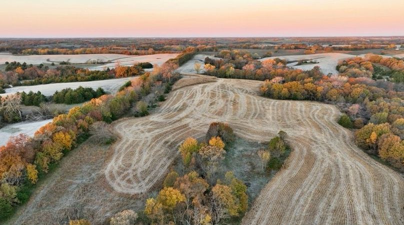 Screenshot 2025-11-20 at 10.06.02 AM