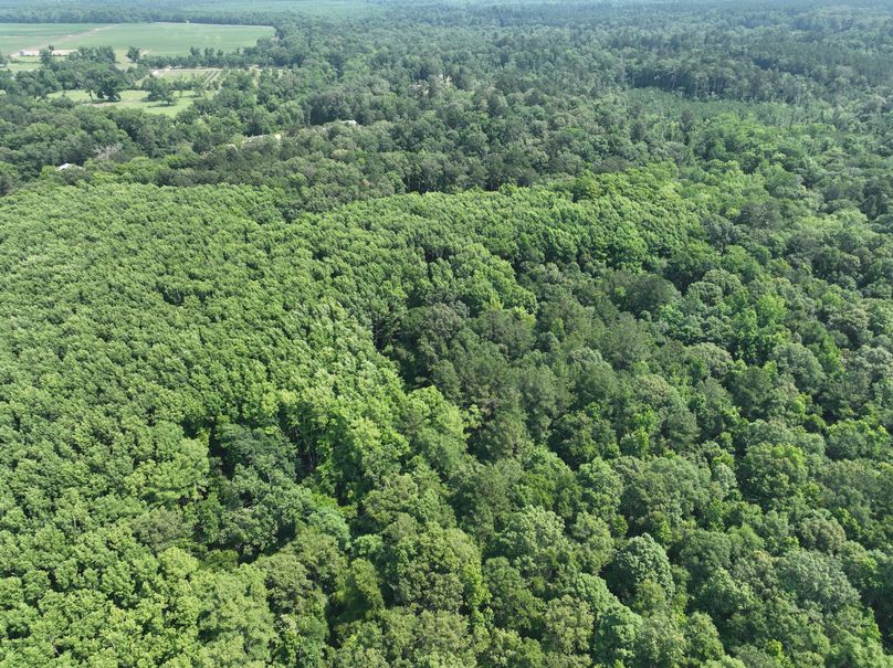 dji_fly_20230530_111556_142_1685483338596_photo