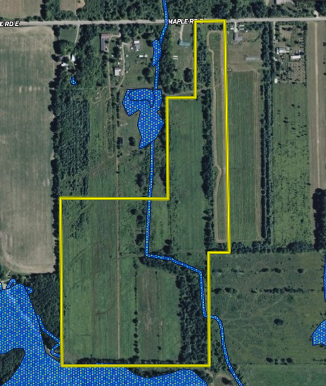 Screenshot 2026-02-17 at 5.18.57 PM