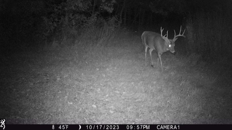 Sauk 174 Trailcam - 33