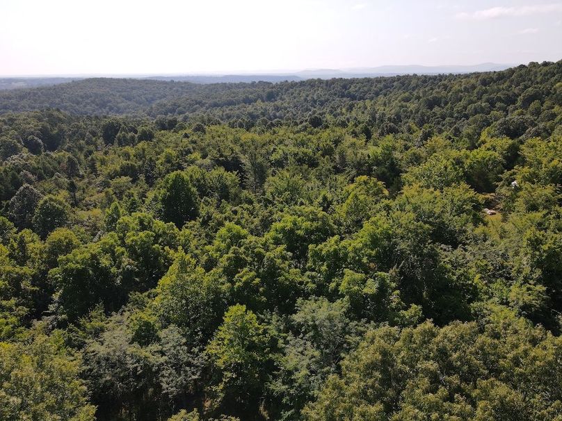 dji_fly_20240808_094930_289_1723128615663_photo