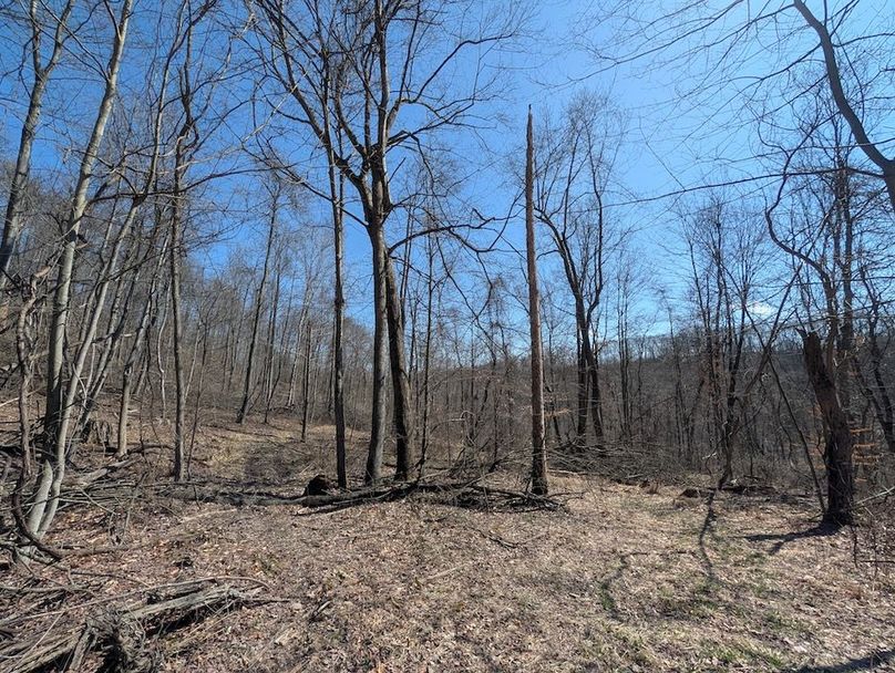 PXL_20260326_170037044