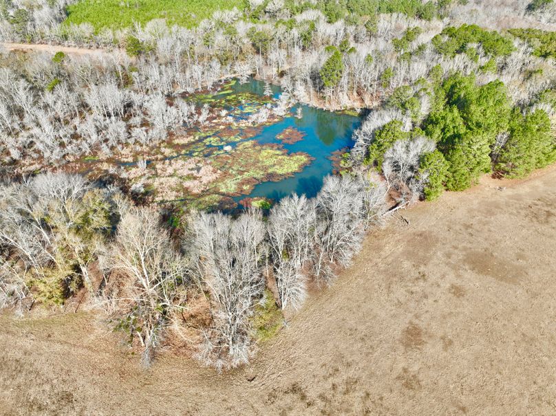 dji_fly_20231230_110102_13_1703952418650_photo