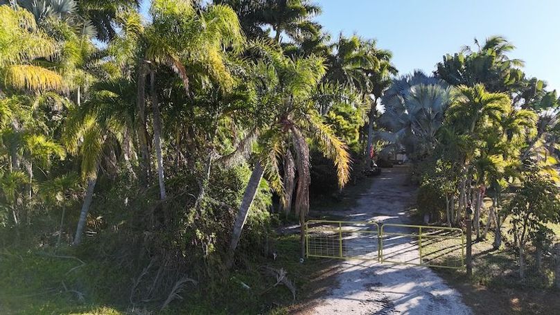 DJI_20260206085159_0221_D