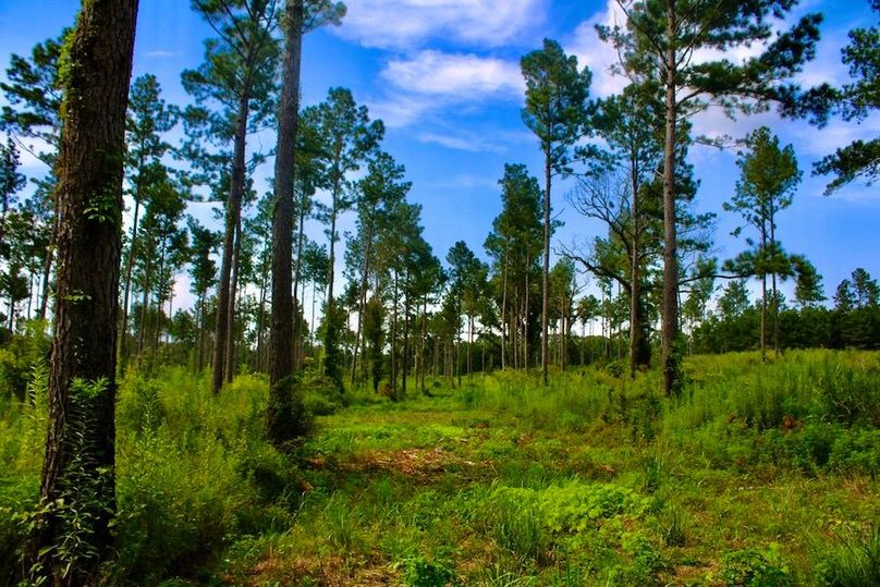 8D822D68-082F-436A-9FA4-26091F95F0D1_1_105_c