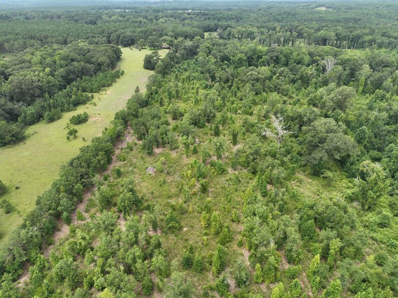 dji_fly_20230803_122438_481_1691080506432_photo