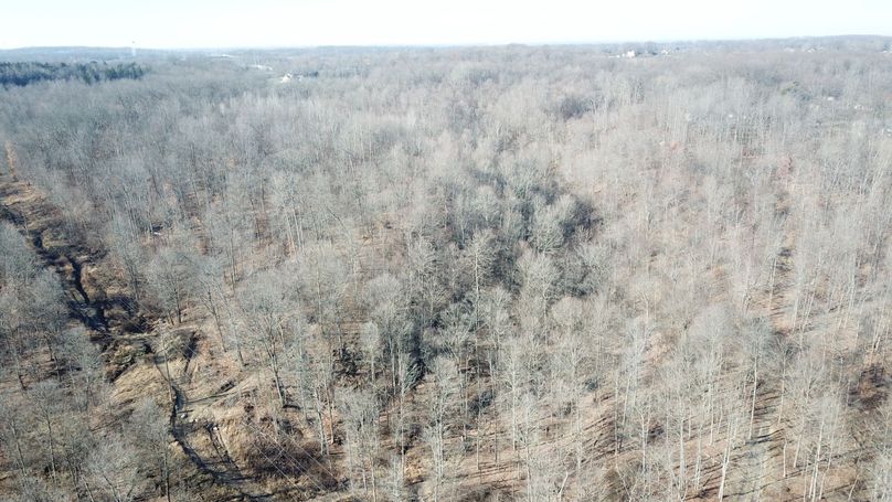 org_e859ac42c5eef4cc_1702659578000