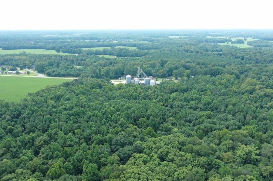 Copy of DJI_0536