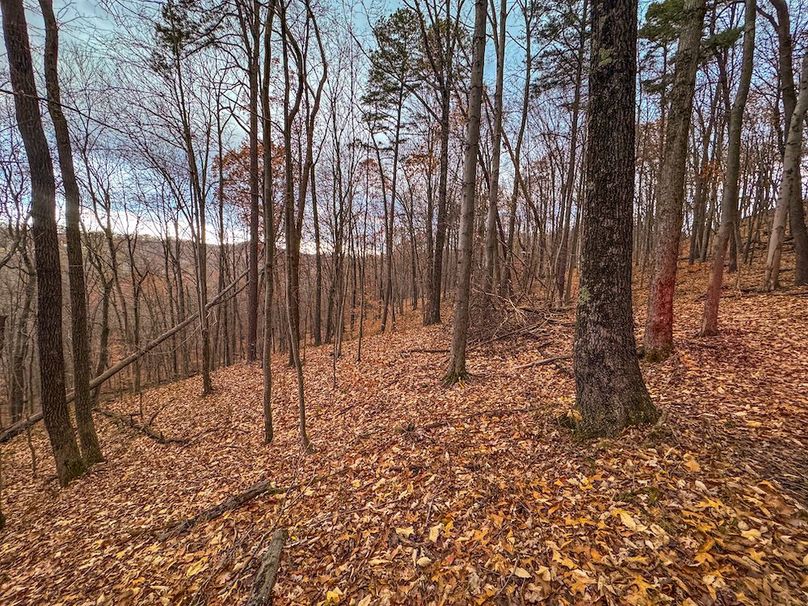 Ritchie, WV 14.081 AC Currey-28