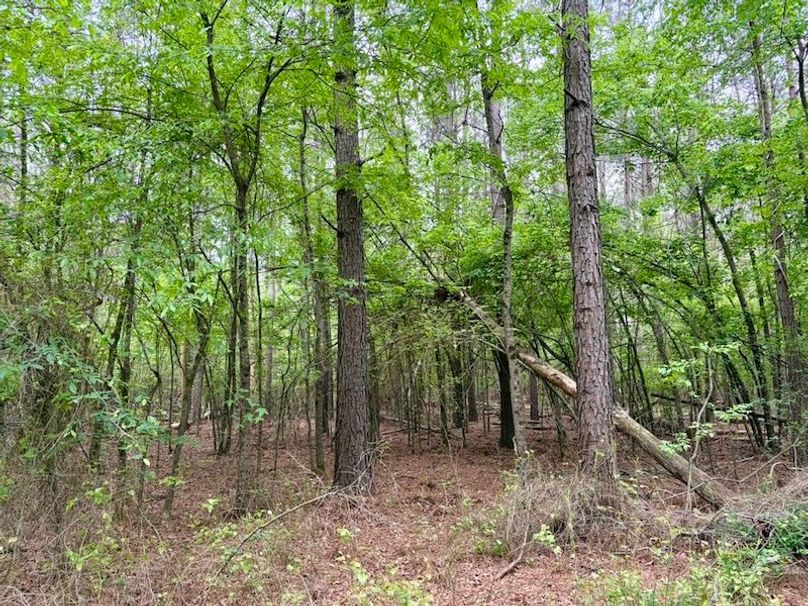 85512668-7E22-4B97-B5D3-7AF7A18C0D22_1_105_c