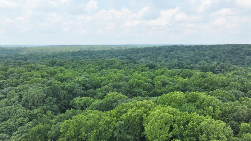 dji_fly_20240711_133530_0228_1720719604004_photo