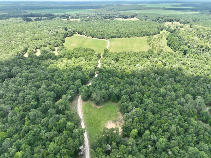 dji_fly_20230731_133344_461_1690845647099_photo