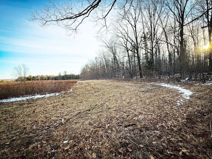 Seneca_24.54_Hohwald_Photos_29