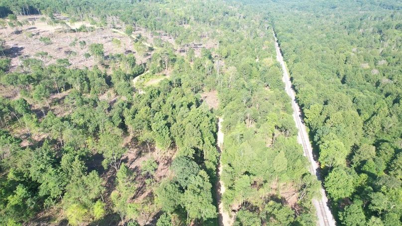 dji_fly_20250624_085816_335_1750770254473_photo