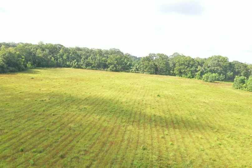 DJI_0080
