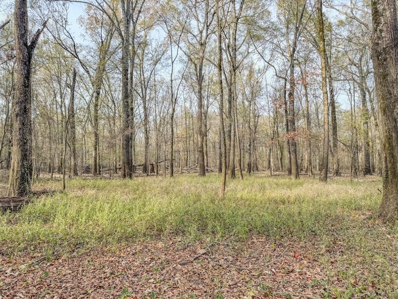 St. Francis 216.9 Calvin Parker Farms Profile -24